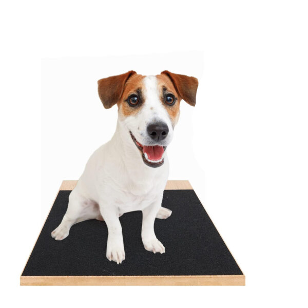 Cross-border Pet Dog Scratch Board Dog Nail Scraper Pet Nail File Scraper Pet Nail Repair Board Dog Toy - Image 5