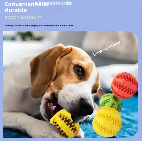 Pet Bite-Resistant Molar Toy Ball Rubber Elastic Ball Border Animal Husbandry Toy Dog Tease Interactive Self-Healing Solving Confused Food Leakage Ball - Image 4