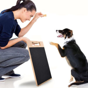 Cross-border Pet Dog Scratch Board Dog Nail Scraper Pet Nail File Scraper Pet Nail Repair Board Dog Toy