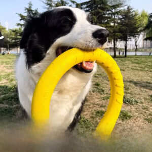 Dog Toy Large Dog Interactive Ring Golden Retriever Labrador Pull Ring Dog Ball Molar Bite Dog Relieving Toy