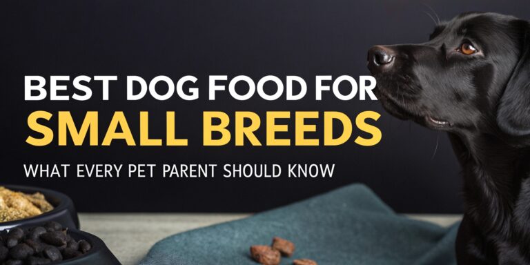 Best Dog Food for Small Breeds: What Every Pet Parent Should Know
