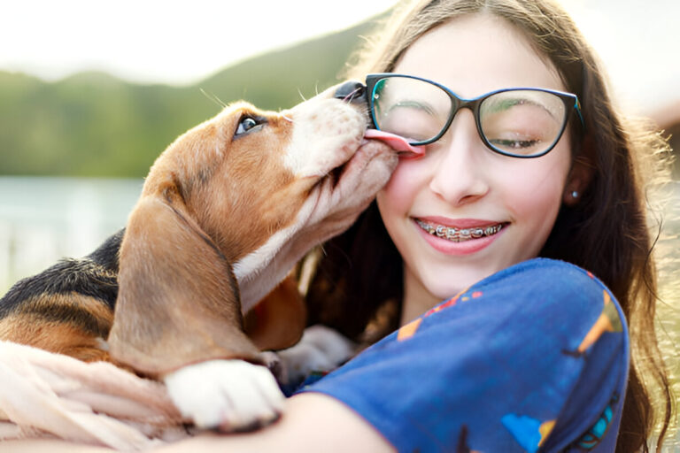 Why Do Dogs Engage in So Much Licking